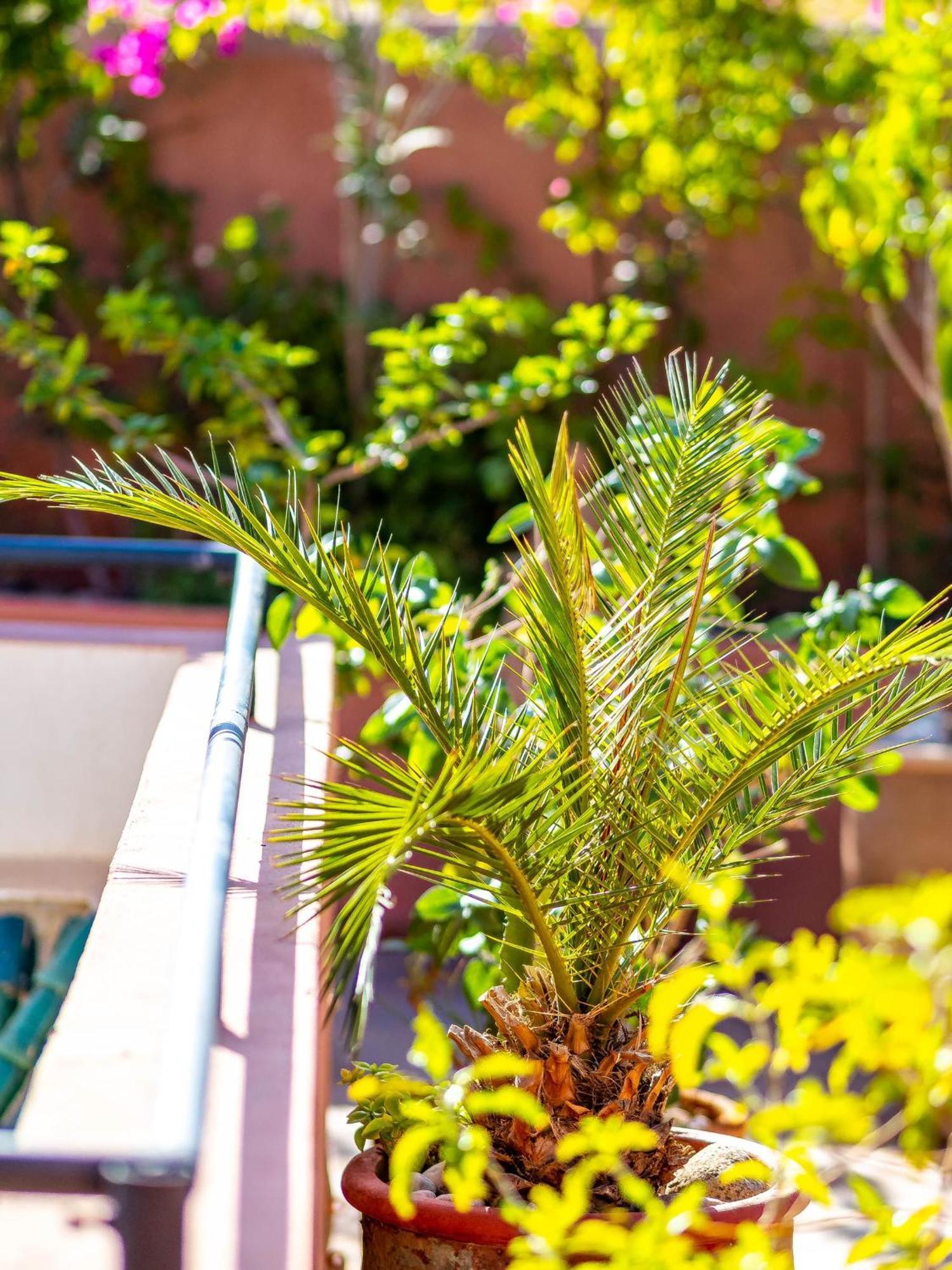 Riad L'Orange Bleue Marrakesh Exterior foto